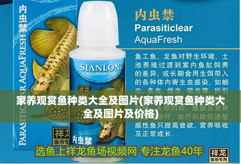 家養(yǎng)觀賞魚種類大全及圖片(家養(yǎng)觀賞魚種類大全及圖片及價格)