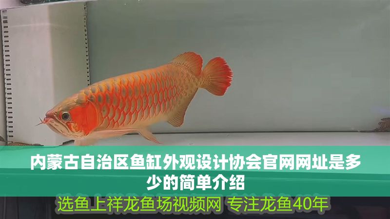 內蒙古自治區魚缸外觀設計協會官網網址是多少的簡單介紹
