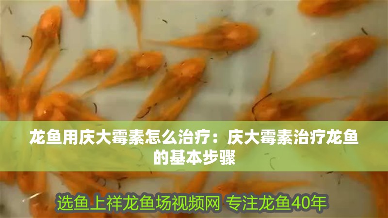 龍魚用慶大霉素怎么治療：慶大霉素治療龍魚的基本步驟