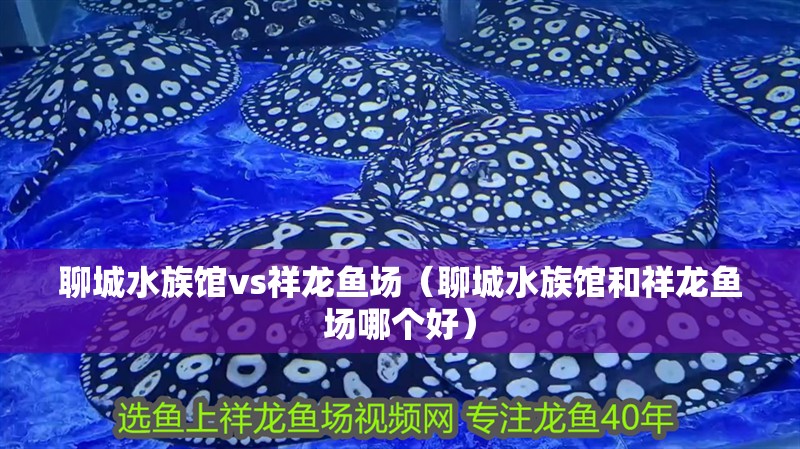 聊城水族館vs祥龍魚場（聊城水族館和祥龍魚場哪個好） 聊城水族館vs祥龍魚場（聊城水族館和祥龍魚場哪個好） 全國水族館企業名錄 第1張