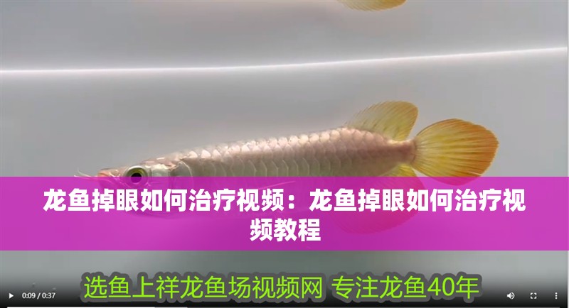 龍魚掉眼如何治療視頻:龍魚掉眼如何治療視頻教程 水族問答 龍魚掉眼如何治療視頻:龍魚掉眼如何治療視頻教程 龍魚掉眼如何治療視頻:龍魚掉眼如何治療視頻教程 水族問答
