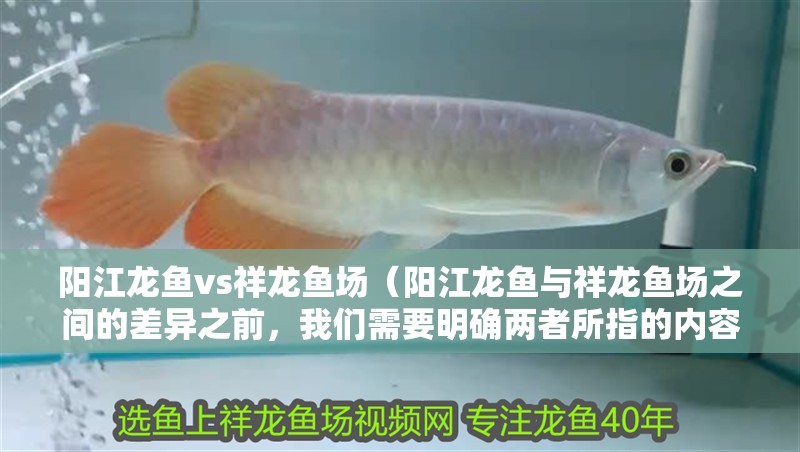 陽江龍魚vs祥龍魚場（陽江龍魚與祥龍魚場之間的差異之前，我們需要明確兩者所指的內容）