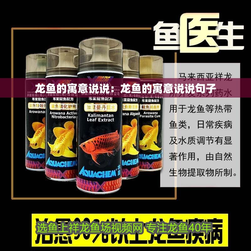 龍魚的寓意說說：龍魚的寓意說說句子
