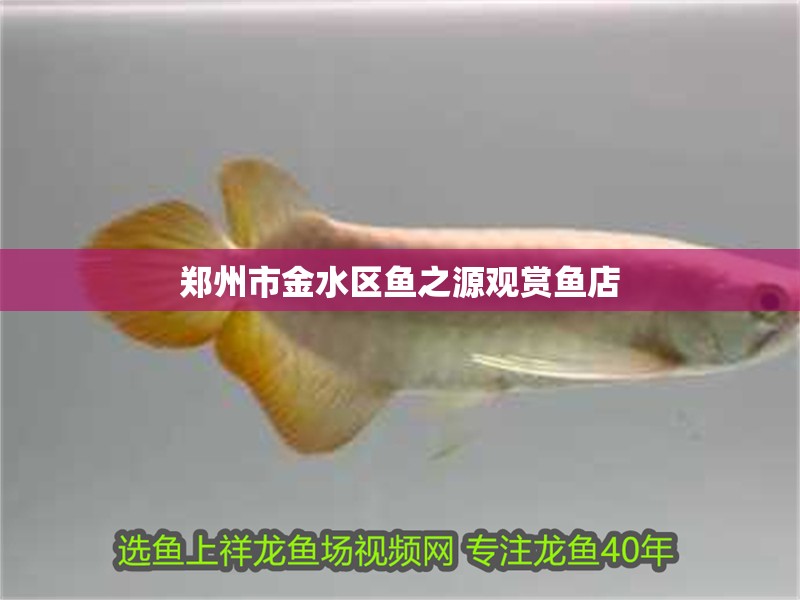 鄭州市金水區魚之源觀賞魚店