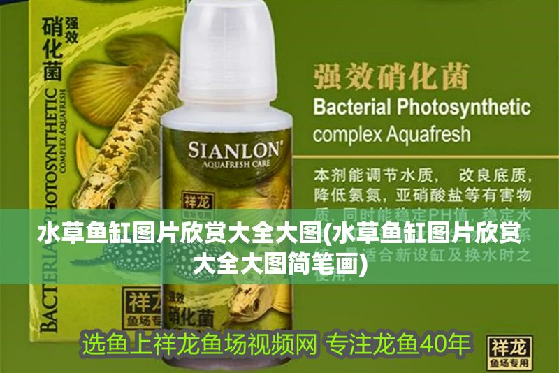水草魚缸圖片欣賞大全大圖(水草魚缸圖片欣賞大全大圖簡筆畫)