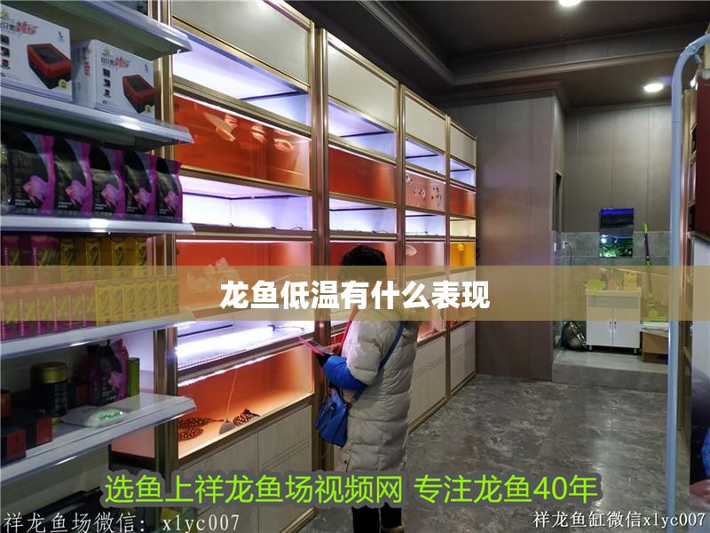 龍魚低溫有什么表現(xiàn)