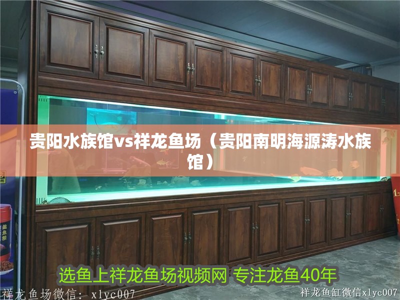 貴陽(yáng)水族館vs祥龍魚場(chǎng)（貴陽(yáng)南明海源濤水族館）