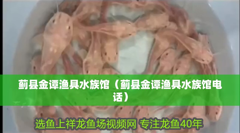 薊縣金譚漁具水族館（薊縣金譚漁具水族館電話）