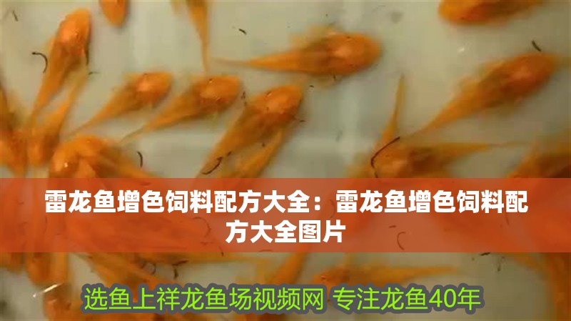 雷龍魚增色飼料配方大全：雷龍魚增色飼料配方大全圖片