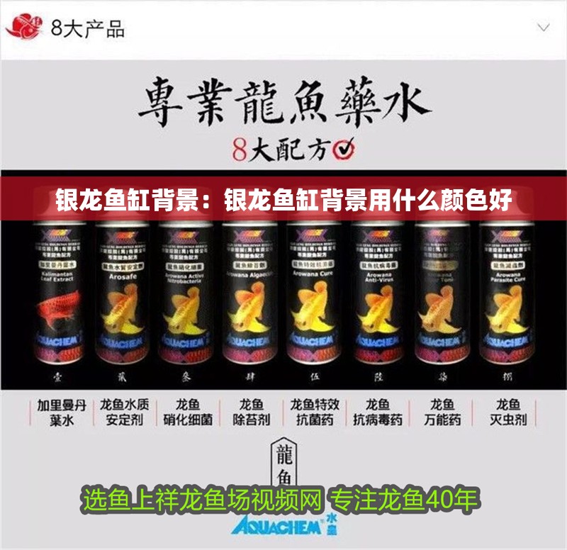 銀龍魚缸背景：銀龍魚缸背景用什么顏色好