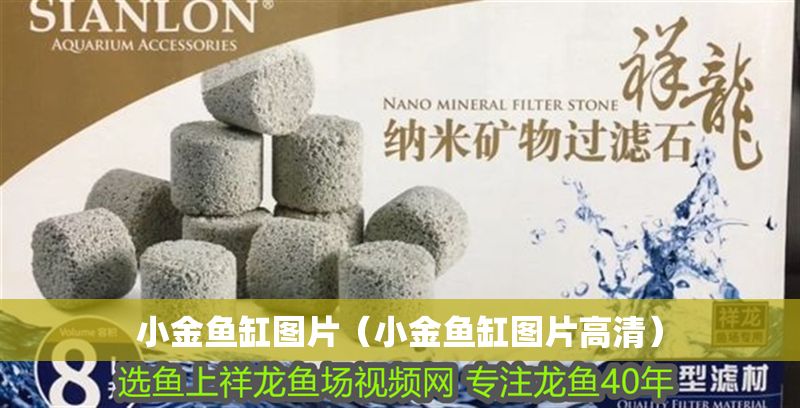 小金魚缸圖片（小金魚缸圖片高清）