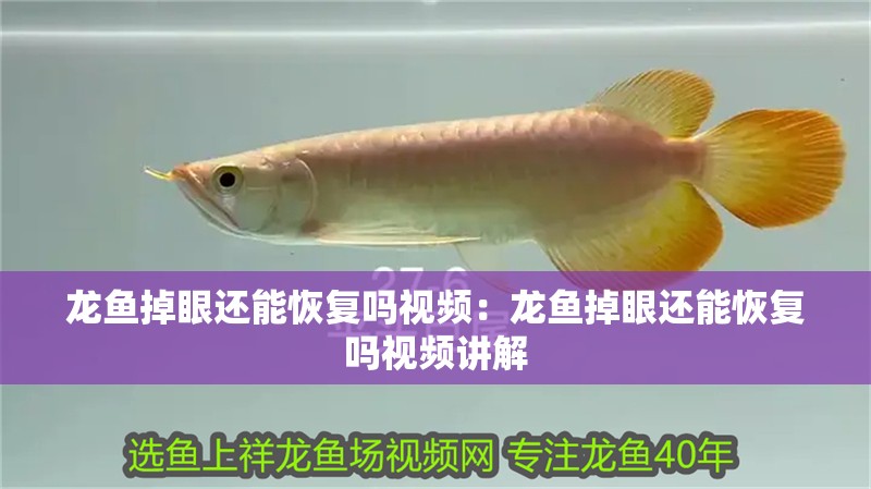 龍魚掉眼還能恢復嗎視頻：龍魚掉眼還能恢復嗎視頻講解