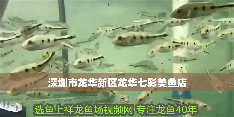 深圳市龍華新區龍華七彩美魚店