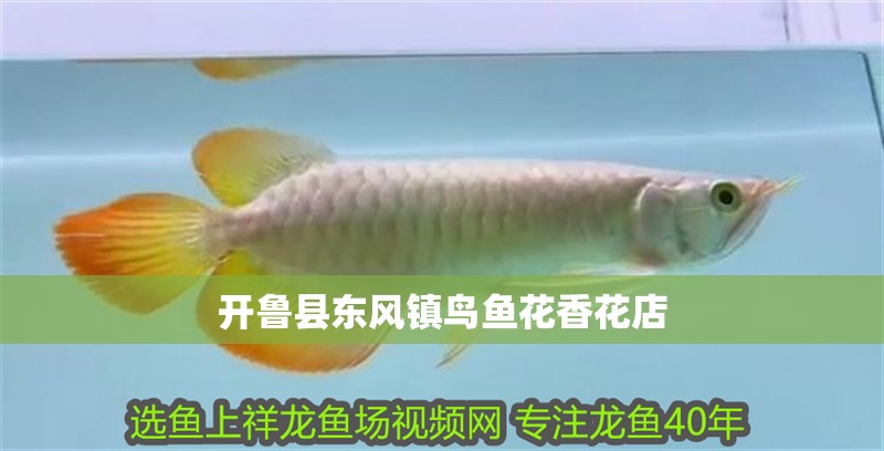 開魯縣東風鎮鳥魚花香花店