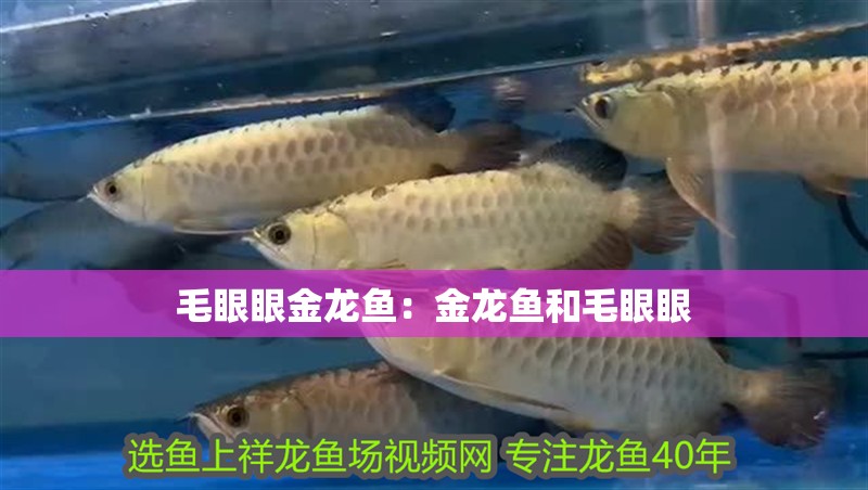 魟魚飼料微生物檢測(cè)流程：魟魚飼料的微生物檢測(cè)
