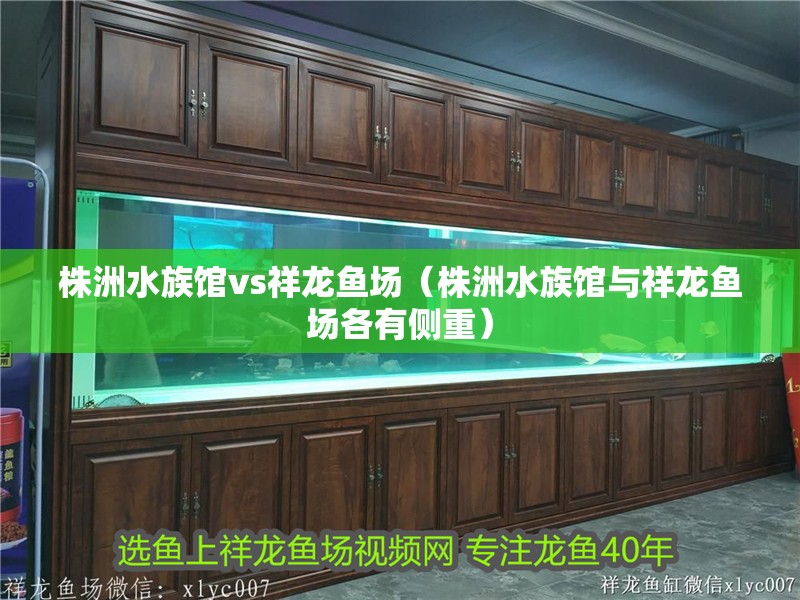 株洲水族館vs祥龍魚場(株洲水族館與祥龍魚場各有側重) 全國水族館企業名錄 第1張 株洲水族館vs祥龍魚場(株洲水族館與祥龍魚場各有側重) 株洲水族館vs祥龍魚場(株洲水族館與祥龍魚場各有側重) 全國水族館企業名錄 第1張