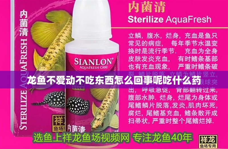 龍魚不愛動不吃東西怎么回事呢吃什么藥