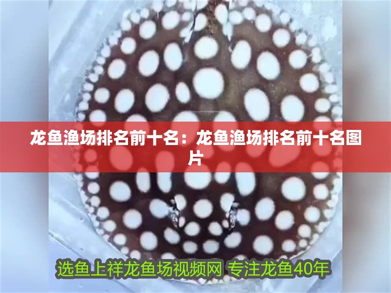 龍魚漁場排名前十名：龍魚漁場排名前十名圖片