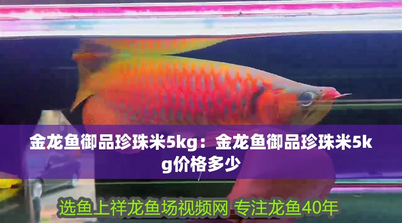 金龍魚御品珍珠米5kg：金龍魚御品珍珠米5kg價格多少 金龍魚御品珍珠米5kg：金龍魚御品珍珠米5kg價格多少 水族問答