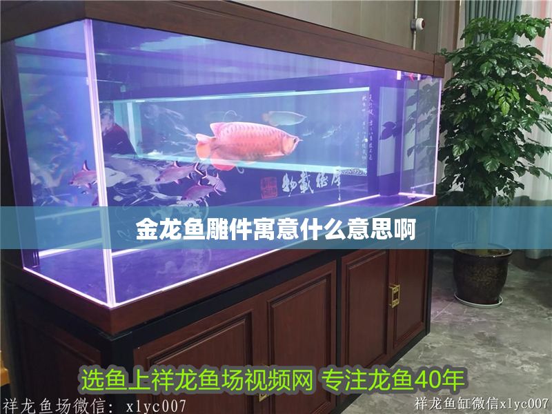 金龍魚雕件寓意什么意思啊