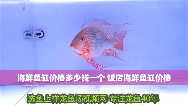 海鮮魚缸價(jià)格多少錢一個(gè) 飯店海鮮魚缸價(jià)格