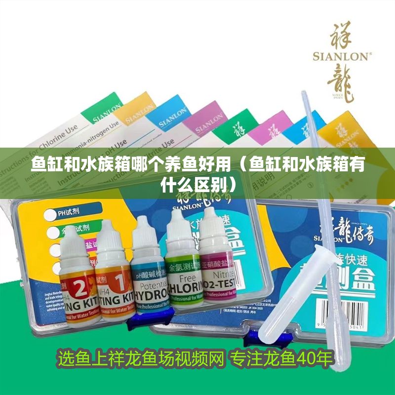 魚缸和水族箱哪個養(yǎng)魚好用（魚缸和水族箱有什么區(qū)別）