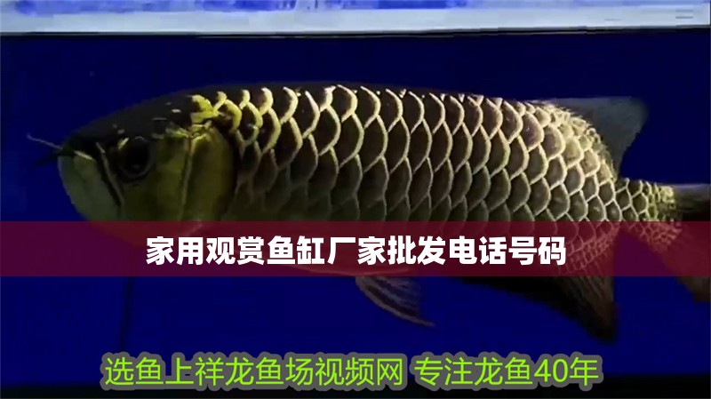家用觀賞魚缸廠家批發電話號碼