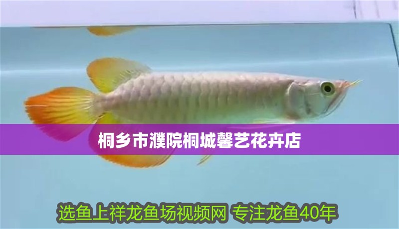 桐鄉(xiāng)市濮院桐城馨藝花卉店