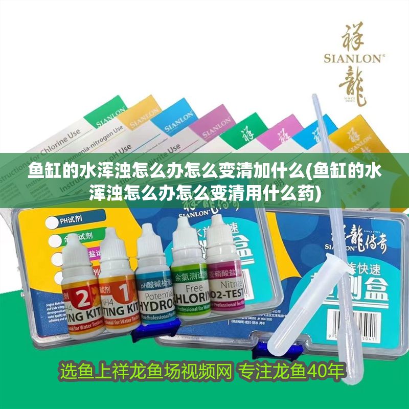 魚缸的水渾濁怎么辦怎么變清加什么(魚缸的水渾濁怎么辦怎么變清用什么藥)