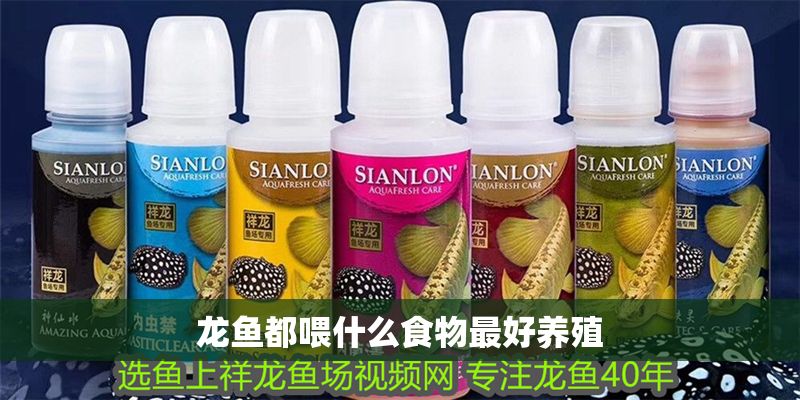 龍魚都喂什么食物最好養殖 龍魚都喂什么食物最好養殖 龍魚百科 第2張