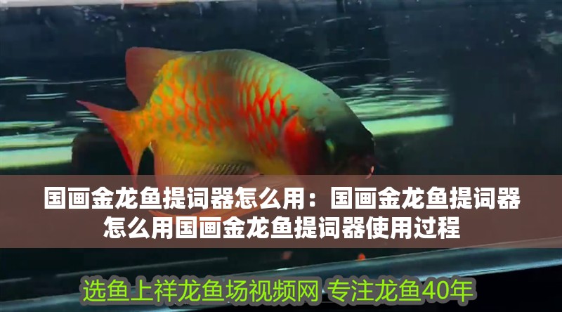 國畫金龍魚提詞器怎么用：國畫金龍魚提詞器怎么用國畫金龍魚提詞器使用過程
