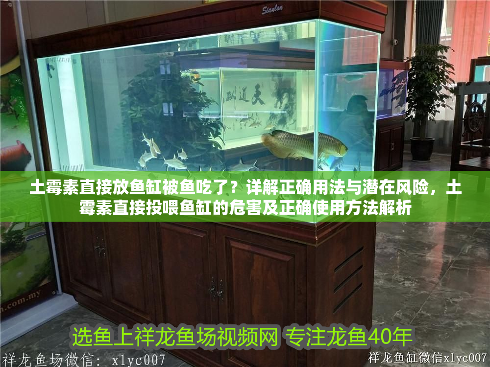 土霉素直接放魚缸被魚吃了？詳解正確用法與潛在風(fēng)險，土霉素直接投喂魚缸的危害及正確使用方法解析