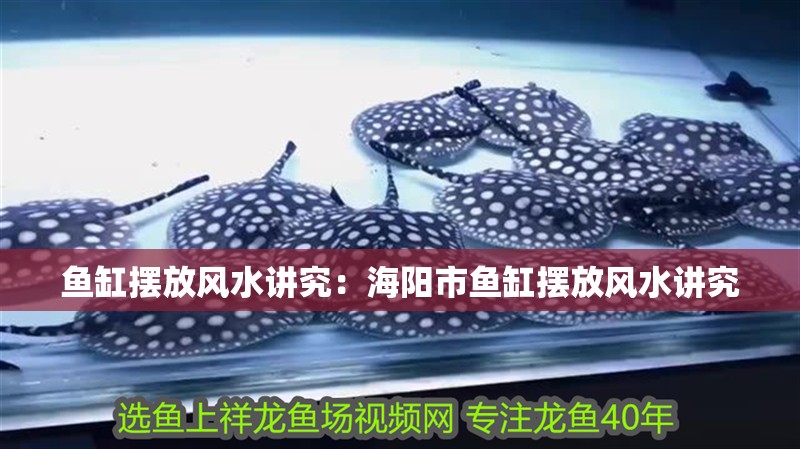 魚缸擺放風水講究：海陽市魚缸擺放風水講究