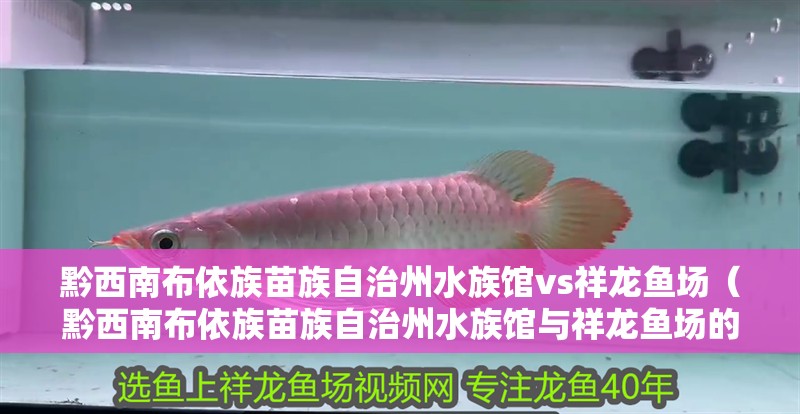 黔西南布依族苗族自治州水族館vs祥龍魚(yú)場(chǎng)（黔西南布依族苗族自治州水族館與祥龍魚(yú)場(chǎng)的區(qū)別）