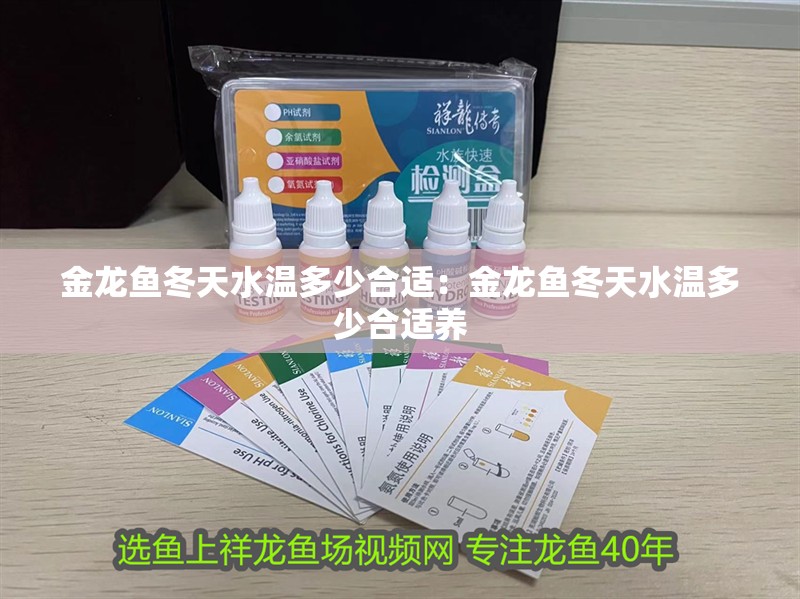 金龍魚冬天水溫多少合適：金龍魚冬天水溫多少合適養 金龍魚冬天水溫多少合適：金龍魚冬天水溫多少合適養 水族問答