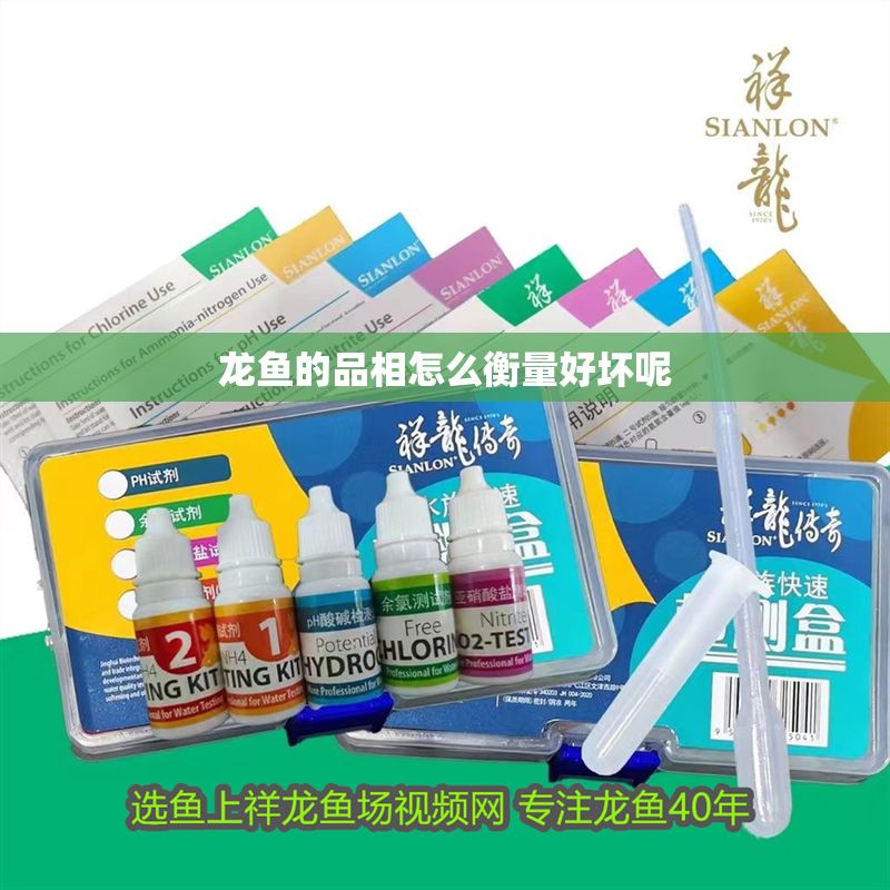 龍魚的品相怎么衡量好壞呢