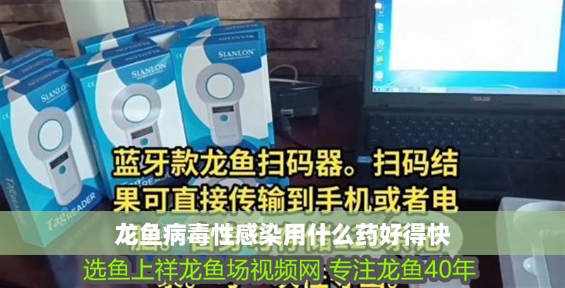 龍魚病毒性感染用什么藥好得快
