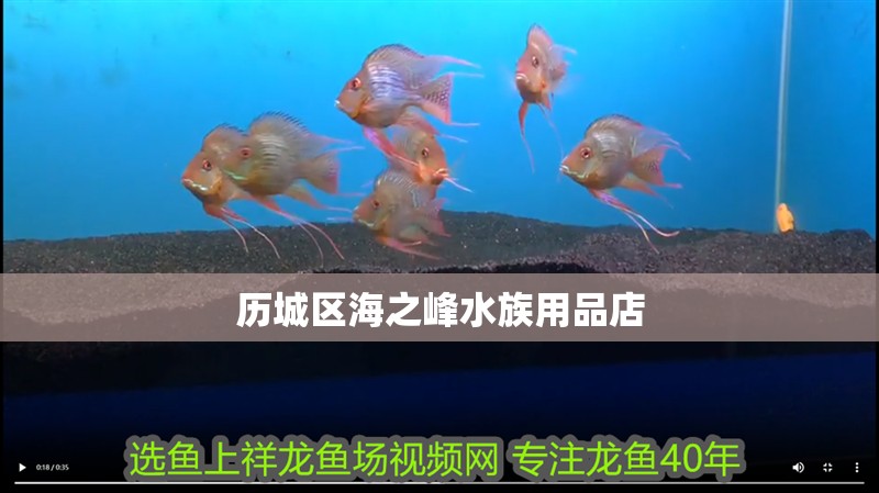 歷城區(qū)海之峰水族用品店