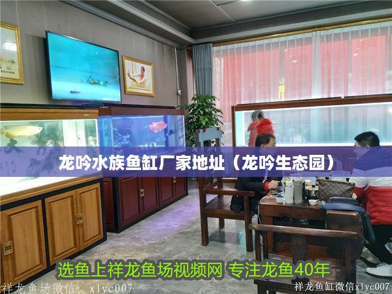 龍吟水族魚缸廠家地址（龍吟生態園）