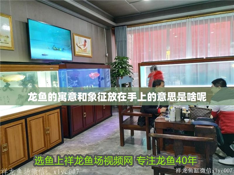 龍魚的寓意和象征放在手上的意思是啥呢