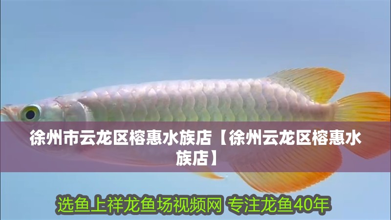 徐州市云龍區榕惠水族店【徐州云龍區榕惠水族店】
