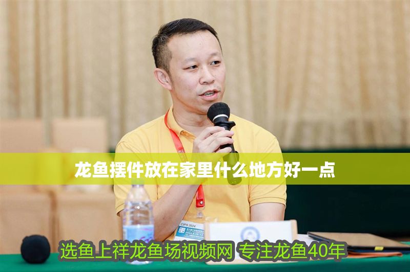 龍魚擺件放在家里什么地方好一點