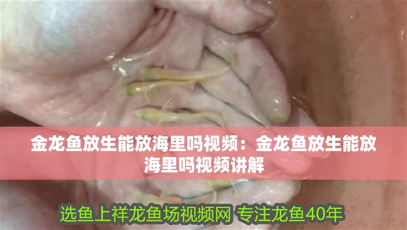 金龍魚放生能放海里嗎視頻：金龍魚放生能放海里嗎視頻講解