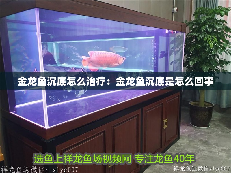 金龍魚沉底怎么治療：金龍魚沉底是怎么回事 金龍魚沉底怎么治療：金龍魚沉底是怎么回事 水族問答