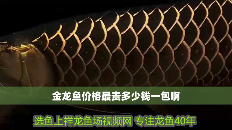 金龍魚價格最貴多少錢一包啊