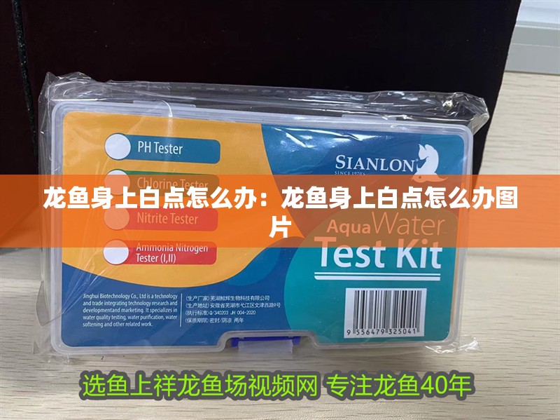 龍魚身上白點怎么辦:龍魚身上白點怎么辦圖片 水族問答 龍魚身上白點怎么辦:龍魚身上白點怎么辦圖片 龍魚身上白點怎么辦:龍魚身上白點怎么辦圖片 水族問答