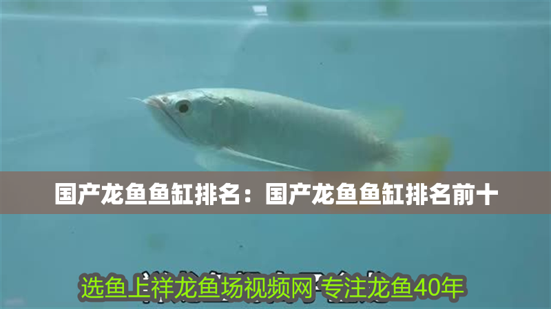 國產龍魚魚缸排名:國產龍魚魚缸排名前十 水族問答 國產龍魚魚缸排名:國產龍魚魚缸排名前十 國產龍魚魚缸排名:國產龍魚魚缸排名前十 水族問答