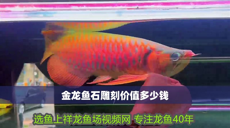 金龍魚石雕刻價值多少錢