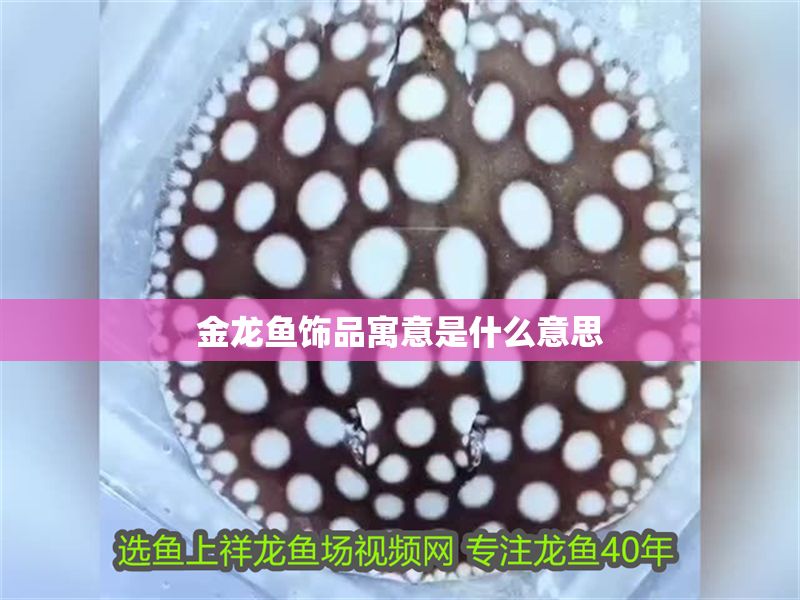 金龍魚(yú)飾品寓意是什么意思