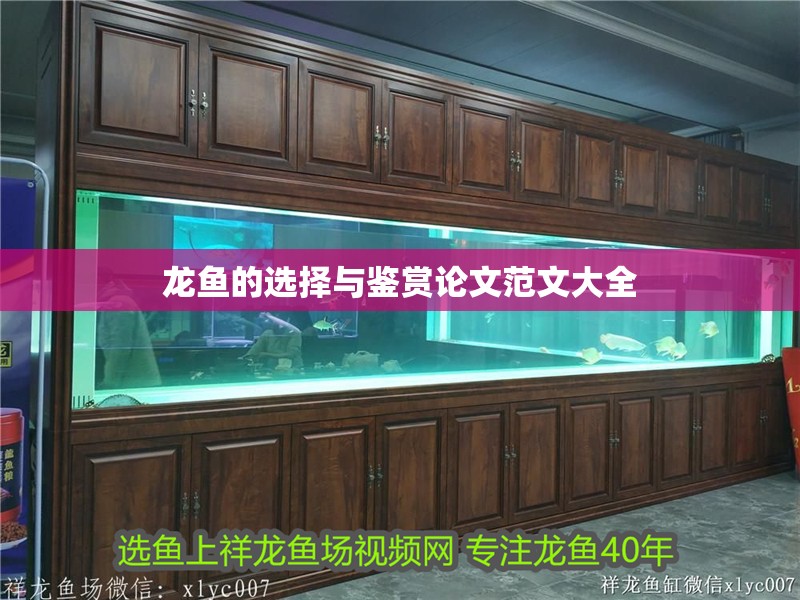 龍魚的選擇與鑒賞論文范文大全
